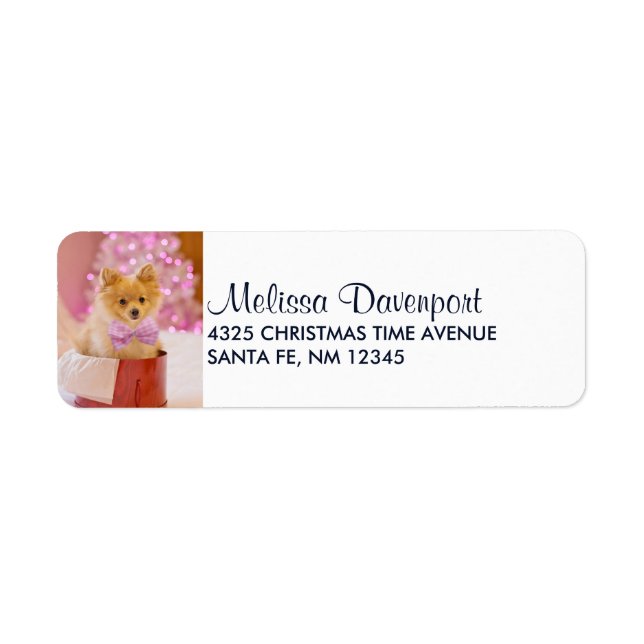 Cute Dog with Pink Bow Christmas Photograph (Front)