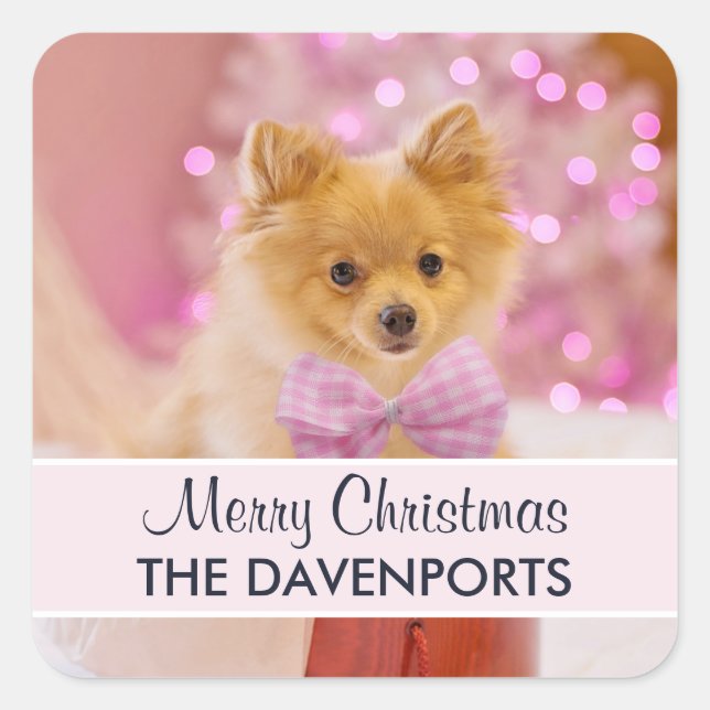 Cute Dog with Pink Bow Merry Christmas Photo Square Sticker (Front)