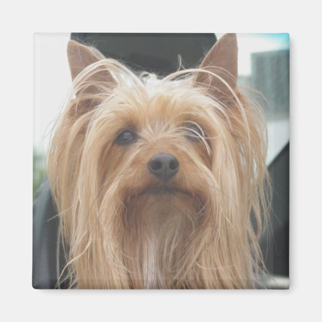 Cute Doggie Magnet (Front)
