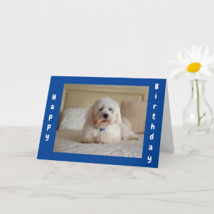 **CUTE DOGGIE WISHES** FRIEND'S BIRTHDAY CARD