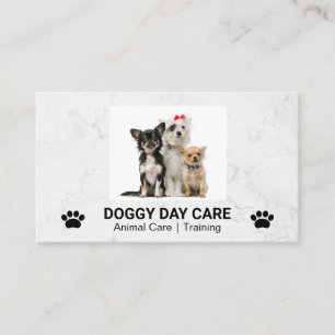 Cute Doggies Sitting   Groomer   Trainer Business Card
