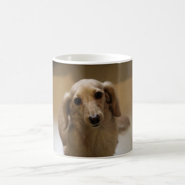 Cute doggy coffee mug (Center)