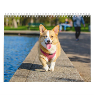 Cute Dogs 2024 Calendar