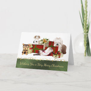 Cute Dogs and Cats Christmas Card