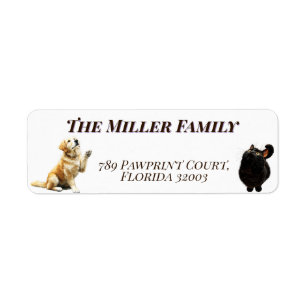 Cute dogs and cats look up Personalized