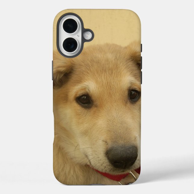 Cute Dogs and Puppies Mans second Best Friend. Case-Mate iPhone Case (Back)