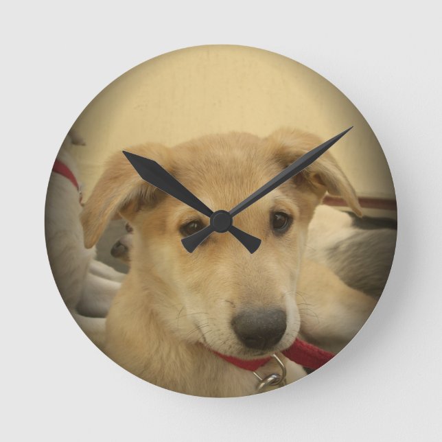 Cute Dogs and Puppies Mans second Best Friend.png Round Clock (Front)