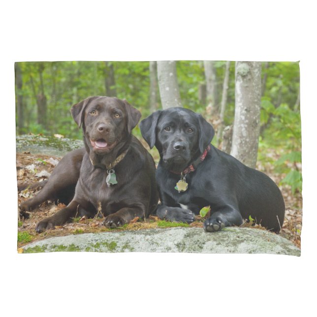 Cute Dogs Chocolate Lab Black Labrador Retriever Pillowcase (Front)
