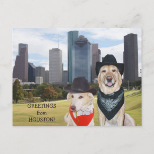 Cute Dogs/Lab Greetings from Houston Postcard