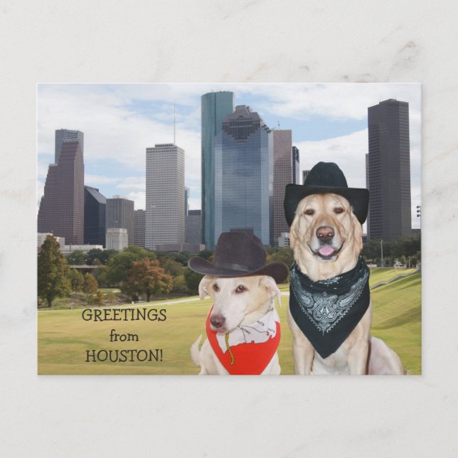 Cute Dogs/Lab Greetings from Houston Postcard (Front)