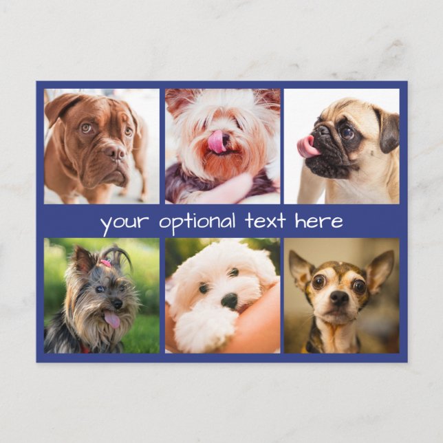 Cute Dogs or YOUR Photos custom postcard (Front)