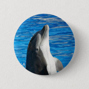 Cute Dolphin Beach Peace Love Party Destiny 2 Inch Round Button