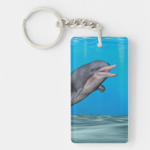 Cute Dolphin Keychain