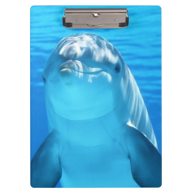 Cute Dolphin Marine Animal in Blue Sea Clipboard (Front)