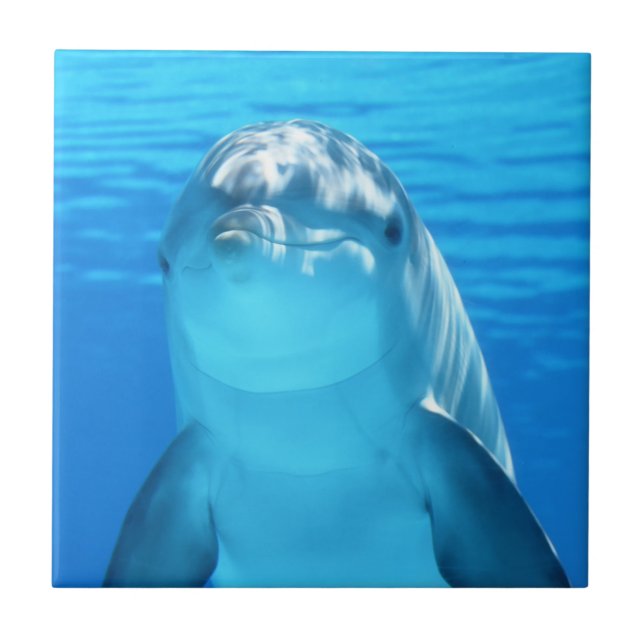 Cute Dolphin Marine Animal in Blue Sea Tile (Front)
