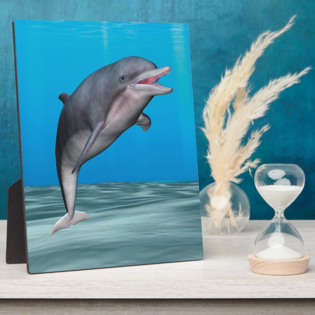 Cute Dolphin Plaque (Side)