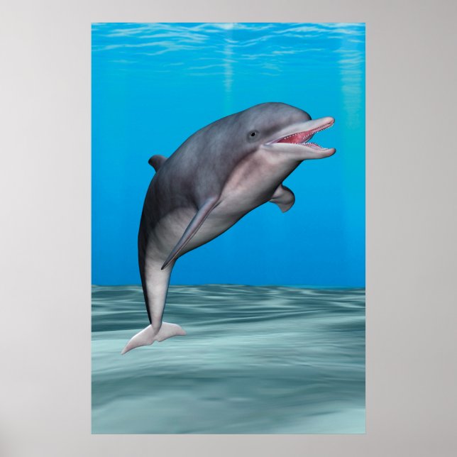 Cute Dolphin Poster (Front)