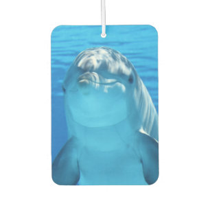 Cute Dolphin Smiling Ocean Dolphin Lover Air Freshener
