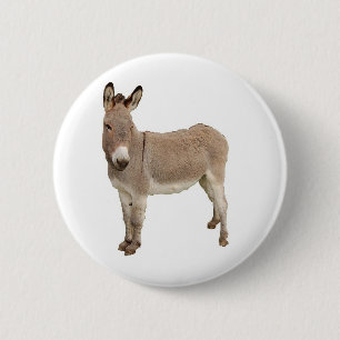 Cute Donkey Burro Photograph 2 Inch Round Button