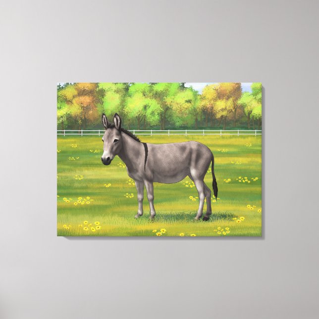 Cute Donkey Grey Burro In Pasture Canvas Print (Front)