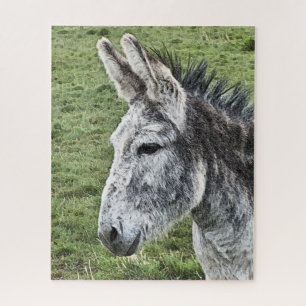 CUTE DONKEY  JIGSAW PUZZLE