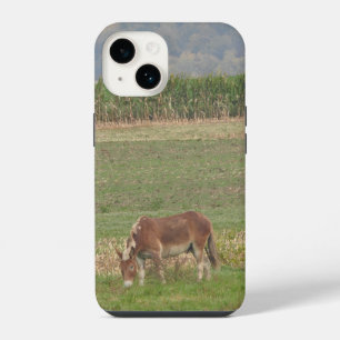 Cute Donkey on Farming Field Grazing in the Grass iPhone 14 Case
