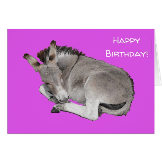 Cute Donkey on Purple (Front Horizontal)