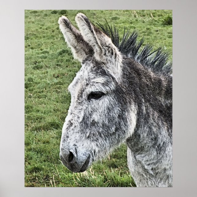 CUTE DONKEY  POSTER (Front)