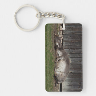 Cute Donkey Resting After A Sand Bath Keychain