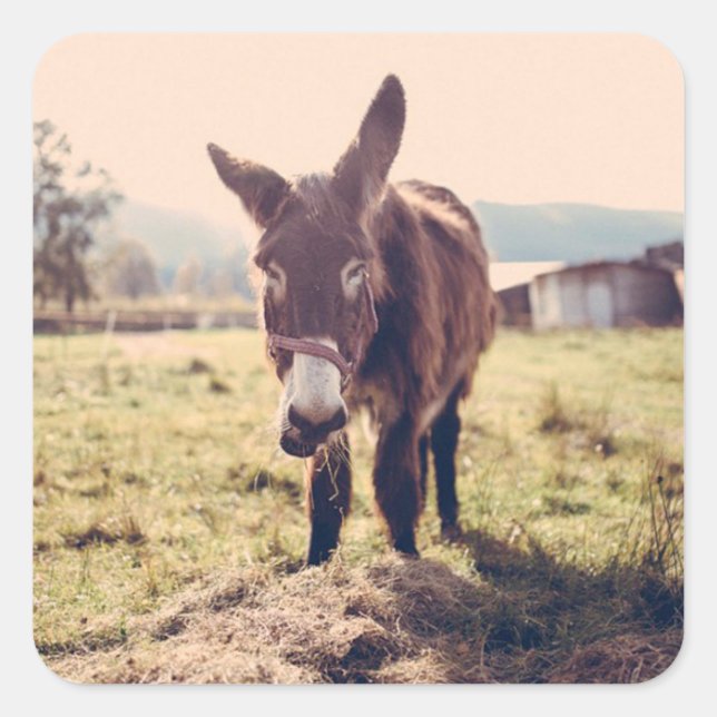 Cute Donkey Sticker (Front)