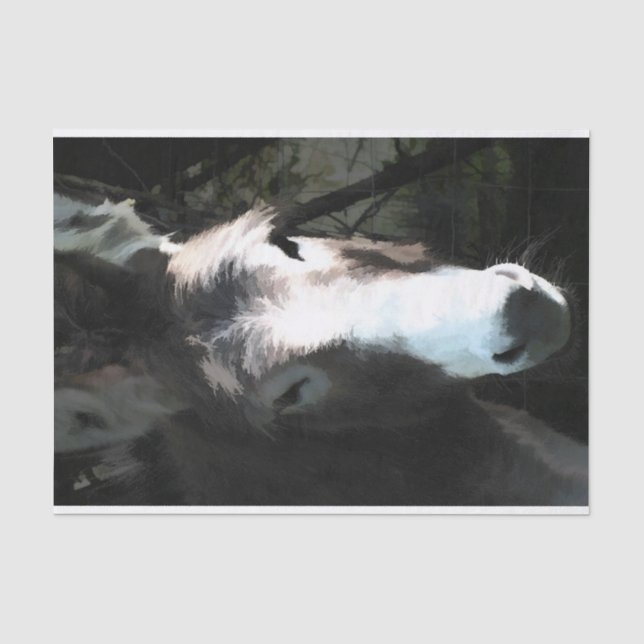 CUTE DONKEY TISSUE PAPER (Front)