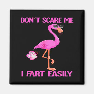 Cute Don't E Me I Fart Easy Fart Joke Flamingo Wom Magnet