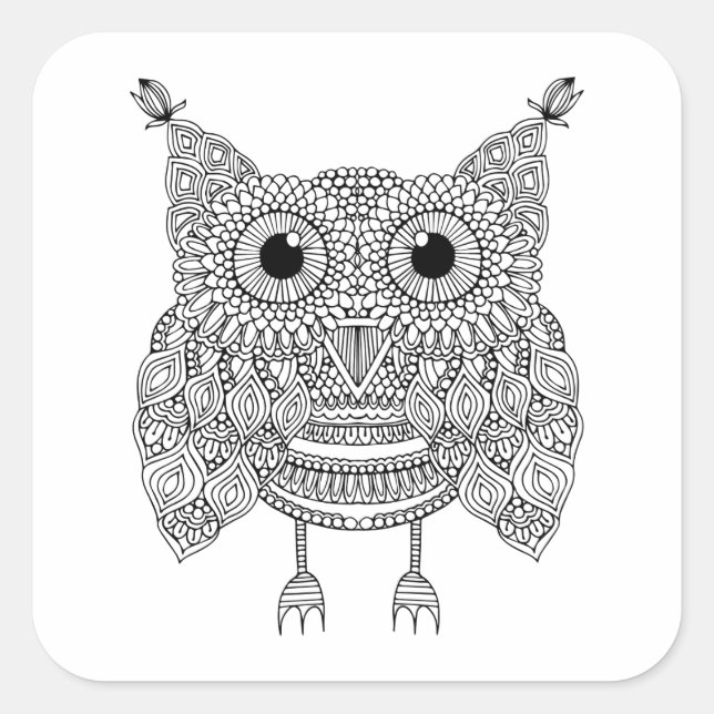 Cute Doodle Owl Square Sticker (Front)