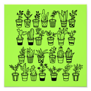 Cute Doodle Plants in Pots Photo Print