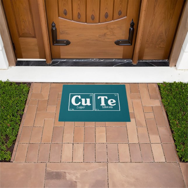 Cute Doormat (Outdoor)