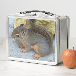 Cute Douglas Squirrel Nature Photo Metal Lunch Box