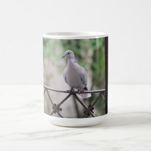 Cute Dove White Pigeon Love & Peace Symbol Bird  Coffee Mug