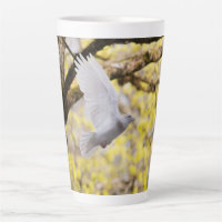 Cute Dove White Pigeon Love & Peace Symbol Bird