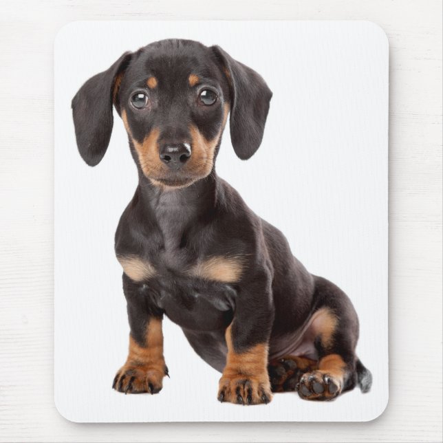 Cute Doxin Puppy Wiener Love Dog Mom Dachshund Mouse Pad (Front)