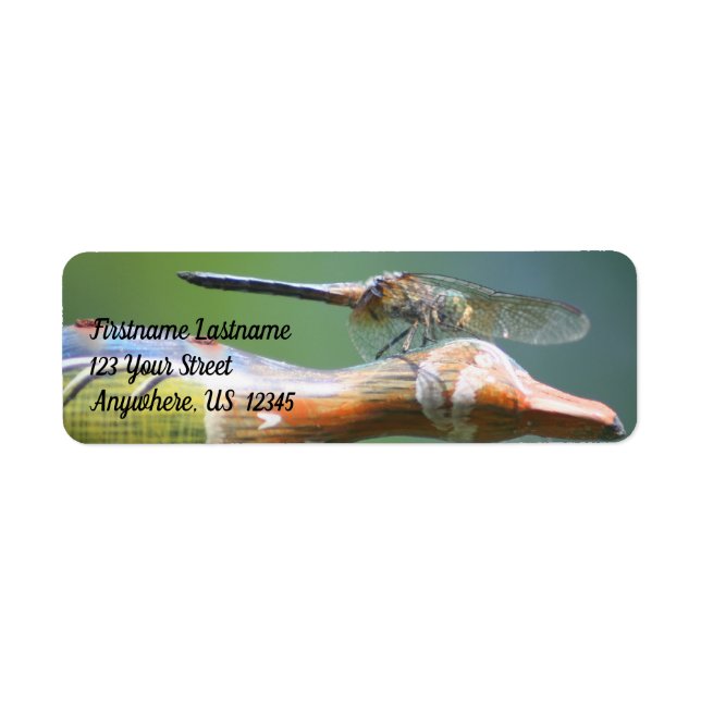 Cute Dragonfly Co Pilot Nature Address (Front)