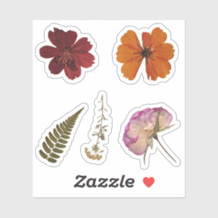 Cute dried flowers Scrapbook ideas Creative