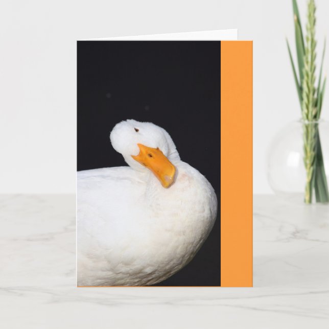 Cute Duck Card (Front)
