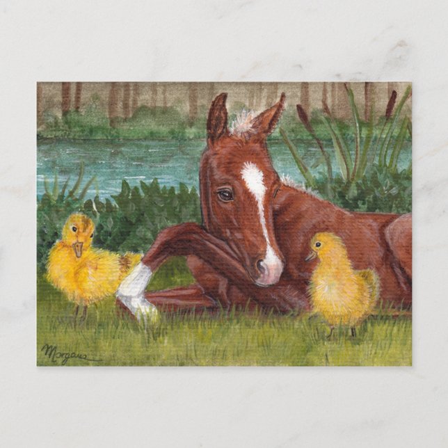 Cute duck chick & foal postcard (Front)