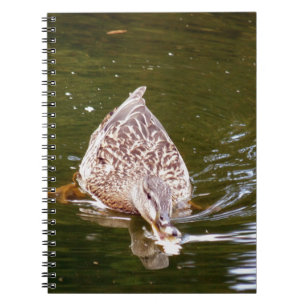 Cute Duck Feeding Notebook