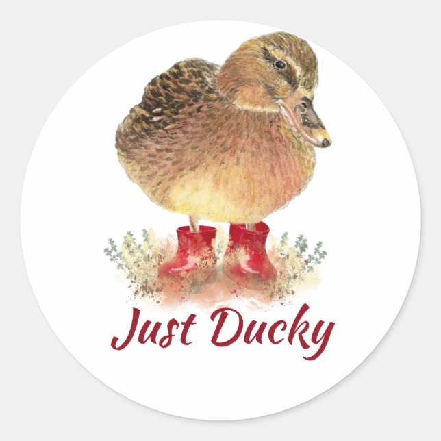 Cute Duck Fun Quote "Just Ducky"  Classic Round Sticker (Front)