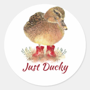 Cute Duck Fun Quote "Just Ducky"  Classic Round Sticker