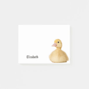 Cute Duck Personalized Name Post-it Notes