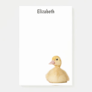 Cute Duck Personalized Name Post-it Notes