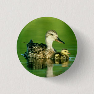 Cute Ducks Button