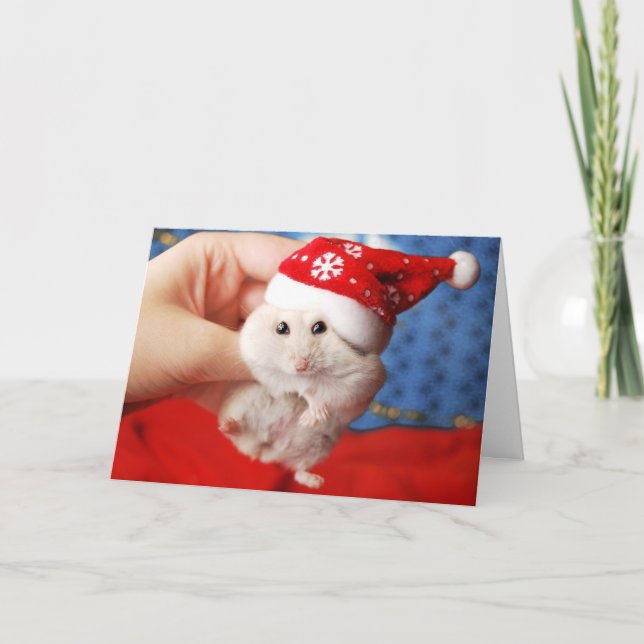 Cute dwarf hamster Tutku with Santa Claus hat Holiday Card (Front)